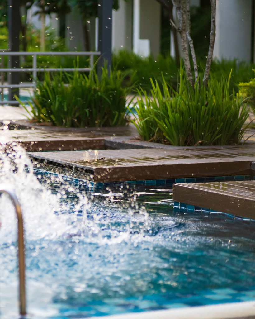 fonctionnement piscine naturelle