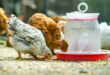 fourniture agricole