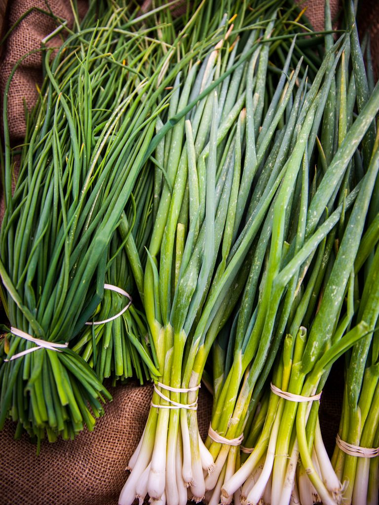 herbes faciles et indispensables à cultiver à la maison