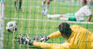 gardien sénégalais