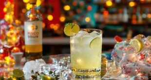 guide du pisco sour