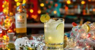 guide du pisco sour