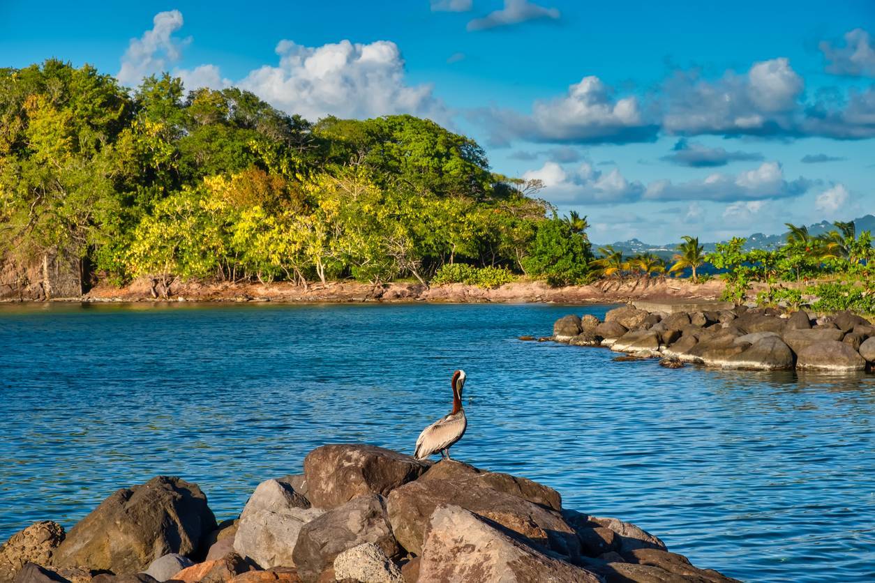 îlets de Martinique