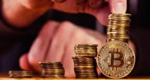 investir stablecoins