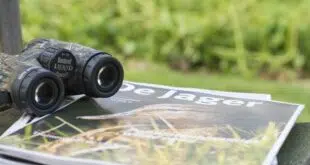jumelles à vision pour chasse