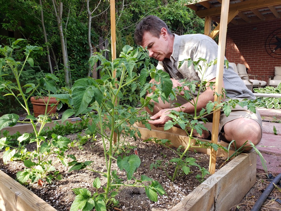 le beau potager