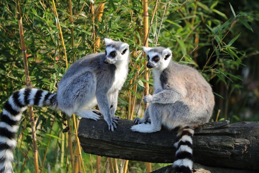 lieu d’intérêt Madagascar