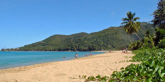 martinique guadeloupe