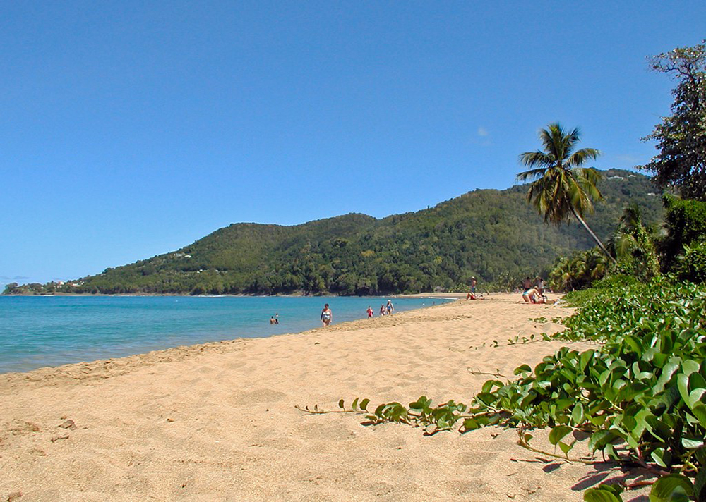 martinique guadeloupe