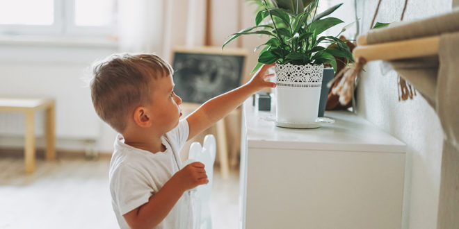 nature en intérieur