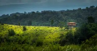 parc national de Khao Yai