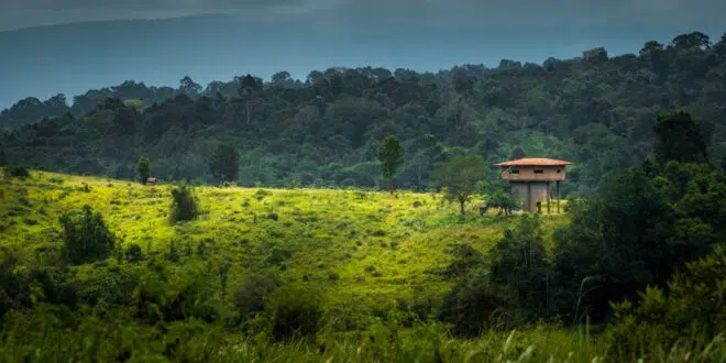 parc national de Khao Yai