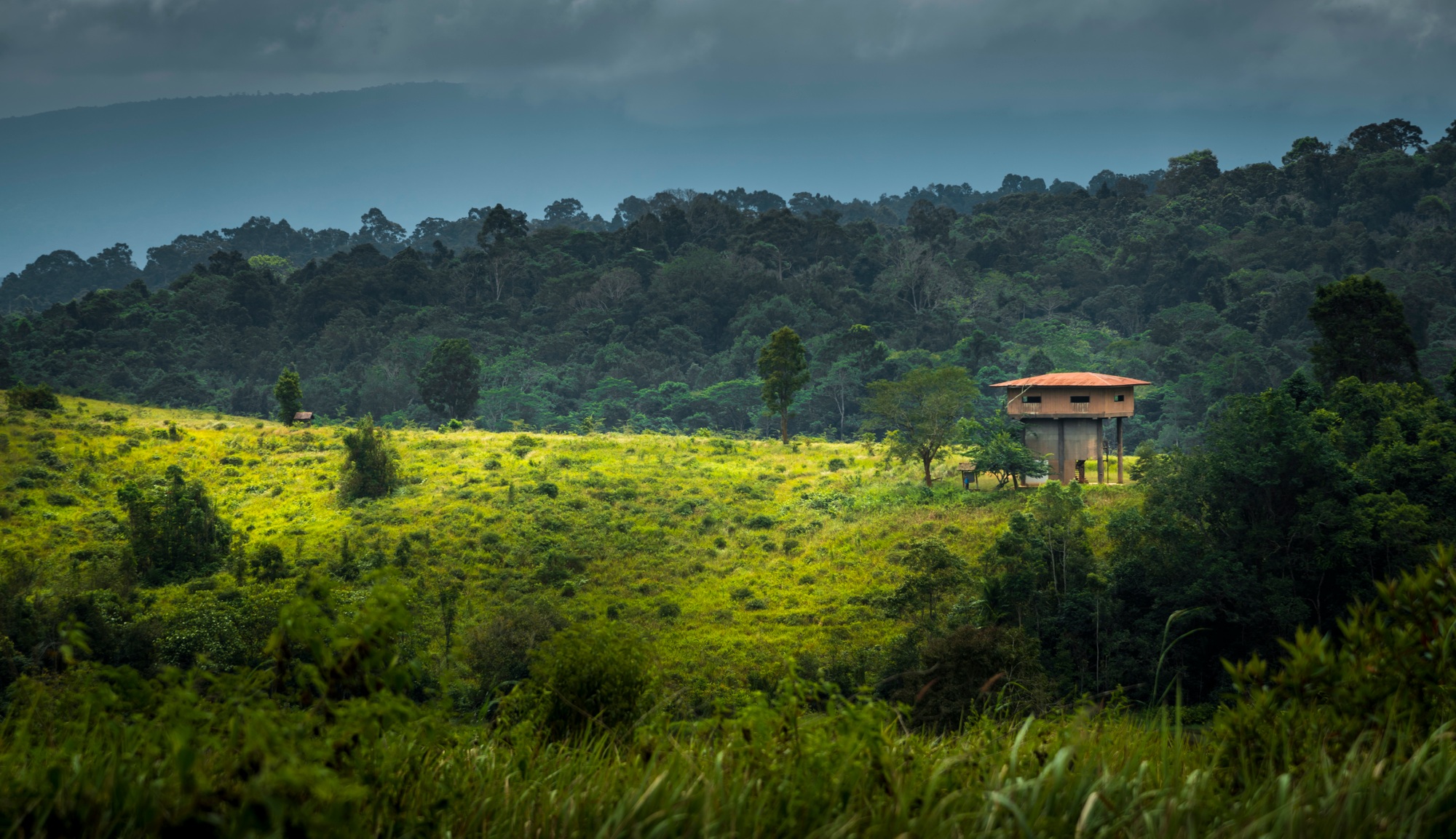 parc national de Khao Yai
