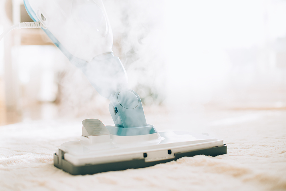 nettoyage à la vapeur