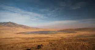 cratère du Ngorongoro