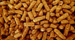 pellets certifié