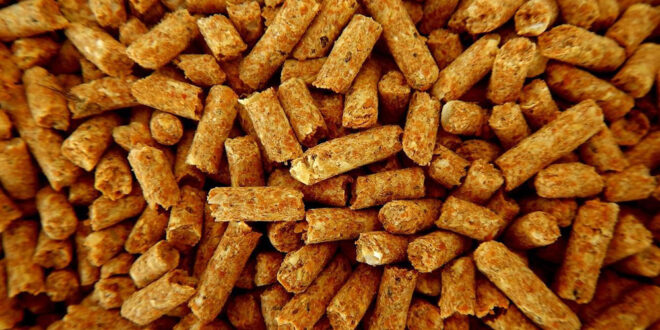 pellets certifié