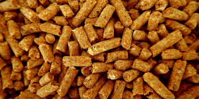 pellets certifié