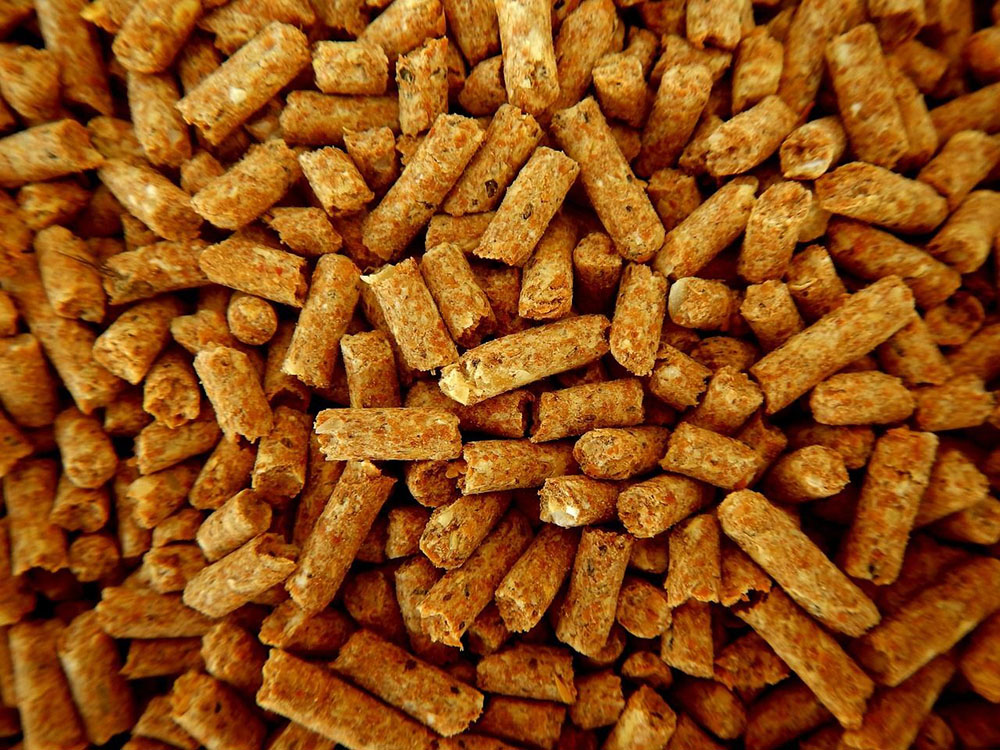 pellets certifié