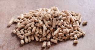 pellets de bois