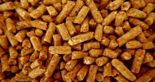 pellets stock