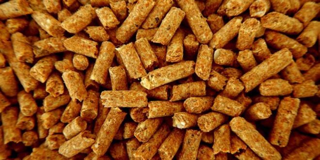 pellets stock