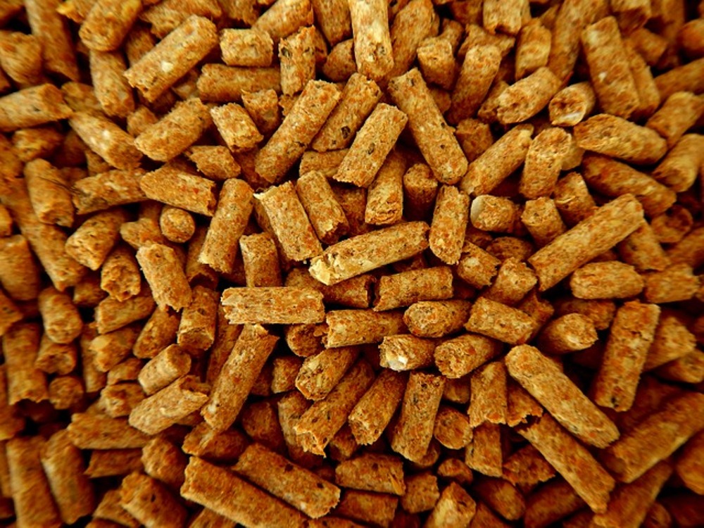 pellets stock