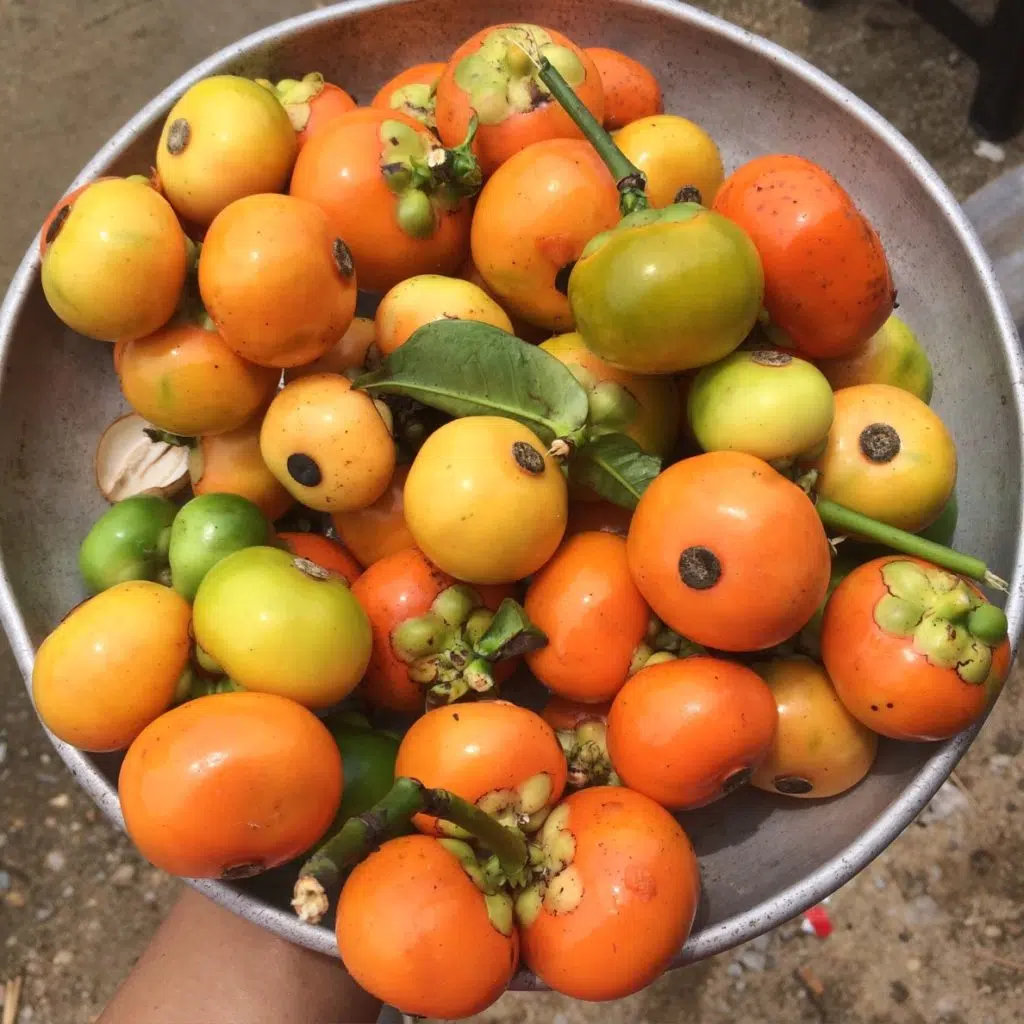 perdre du poids avec le garnicia