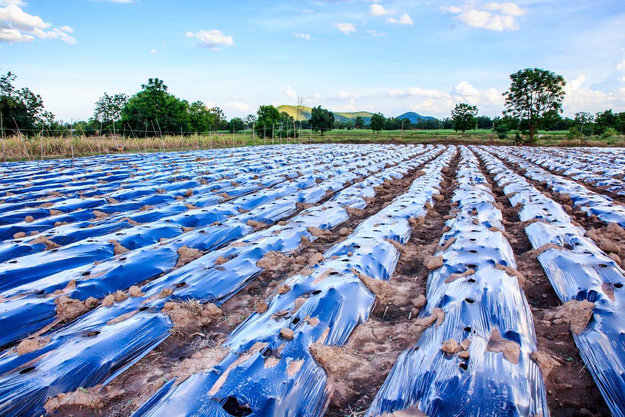 bâche agricole