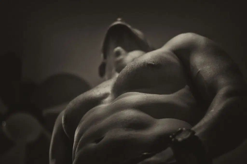 prise de muscle