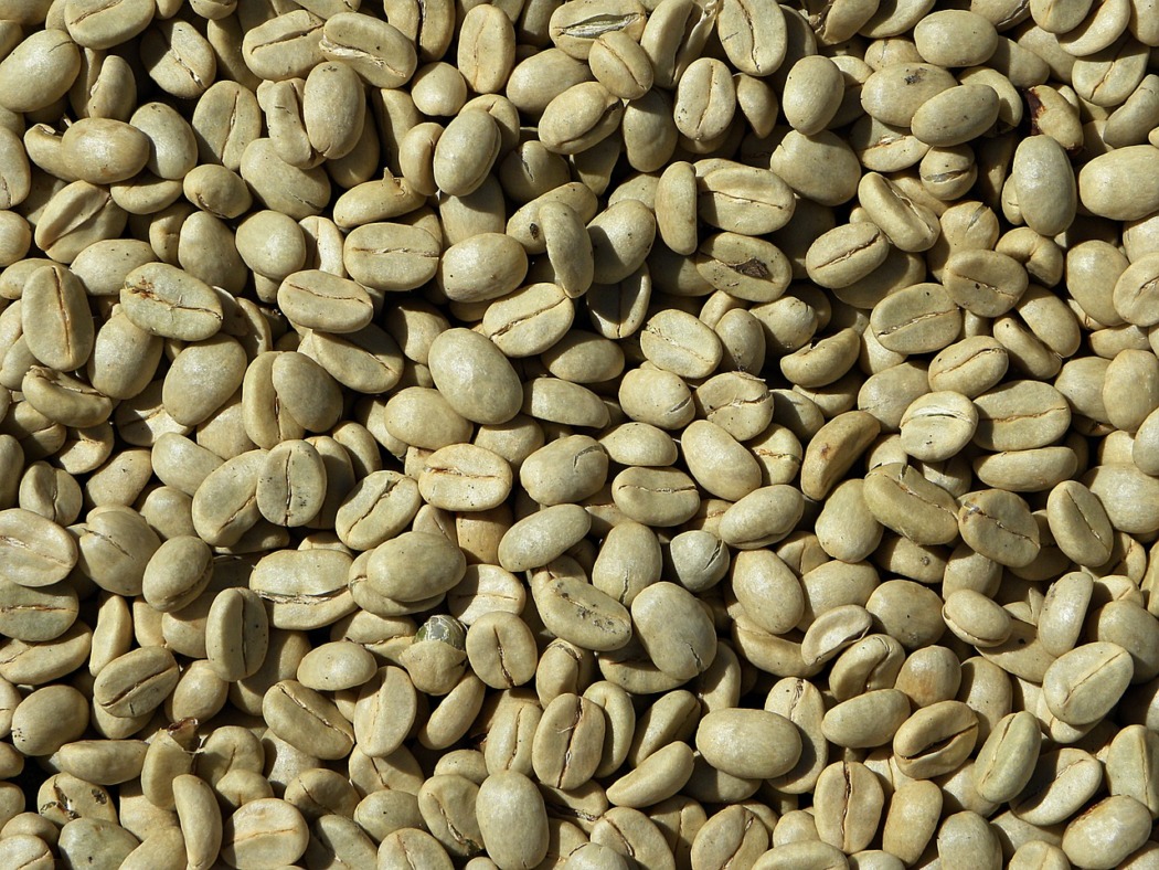 produit minceur stevol