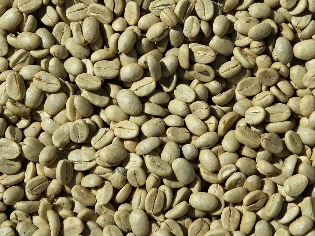 produit minceur stevol