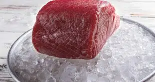 Raw fish meat on ice
