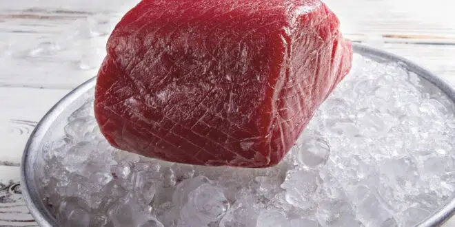 Raw fish meat on ice