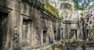 séjour au Cambodge