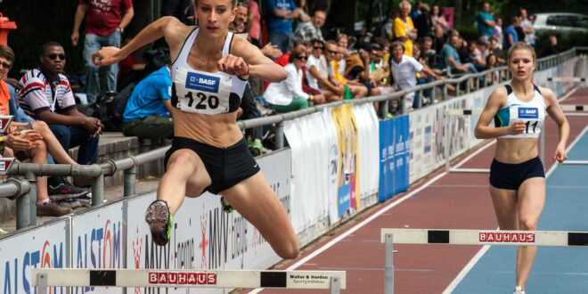 sports pour parier