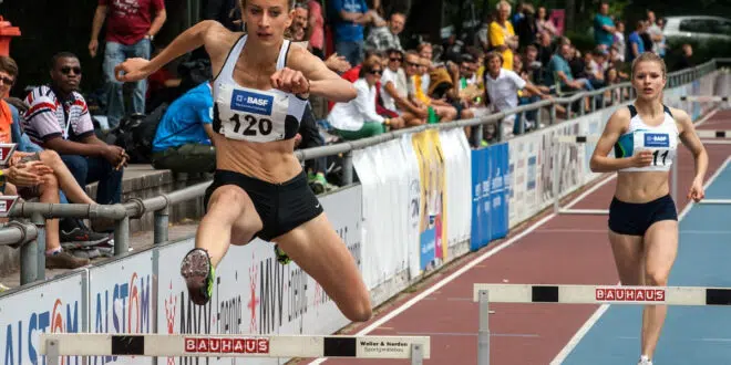 sports pour parier