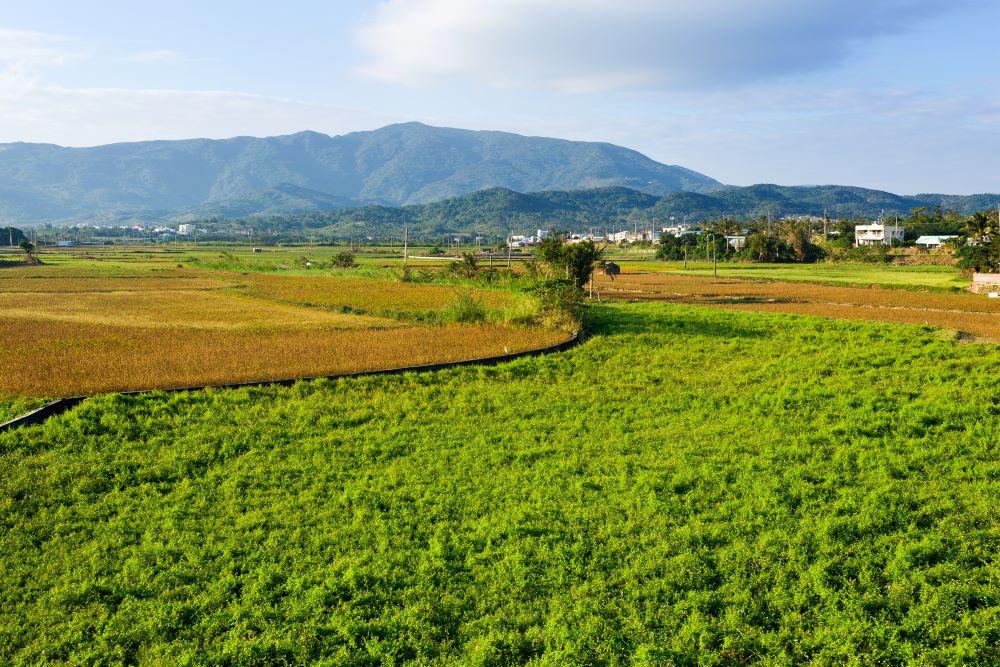 terrain agricole