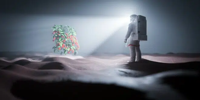 traces de vie sur Mars