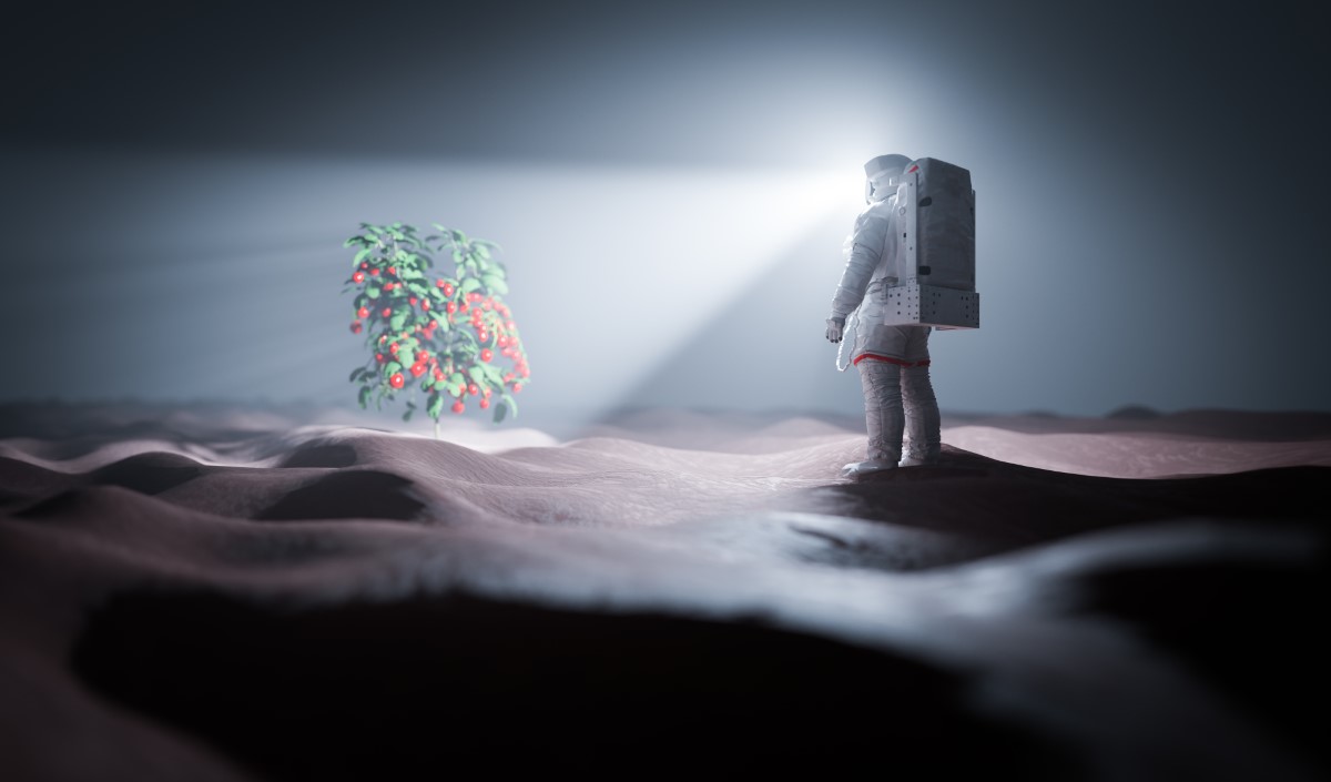 traces de vie sur Mars