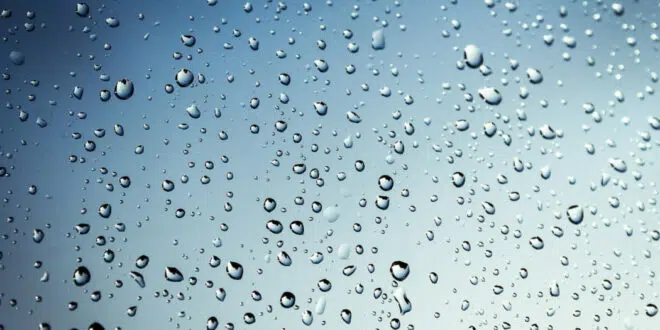 Utilisez l'eau de la pluie pour arroser votre jardin !