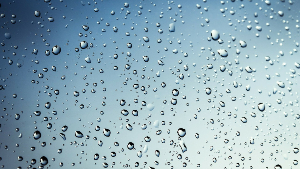 Utilisez l'eau de la pluie pour arroser votre jardin !