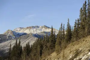 Voyage en Alaska