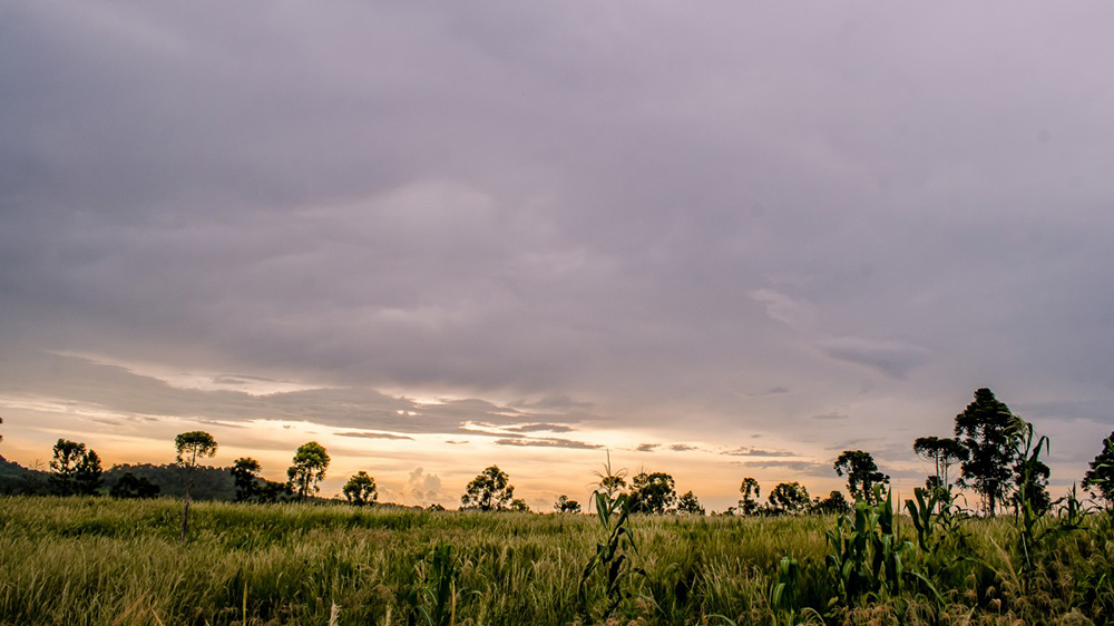 voyage en Argentine