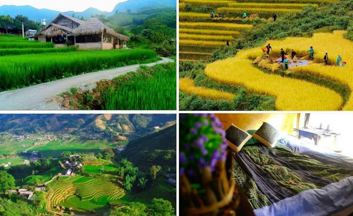 voyage au Vietnam