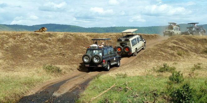 voyage tanzanie