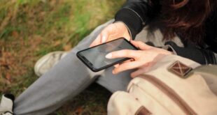 recherche des numéros